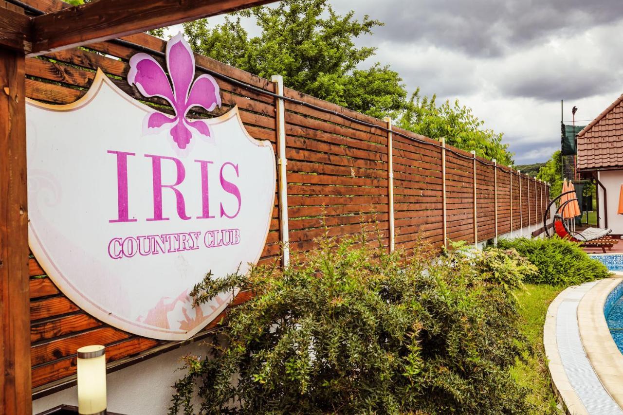 Pensiunea Iris Turcineşti Buitenkant foto